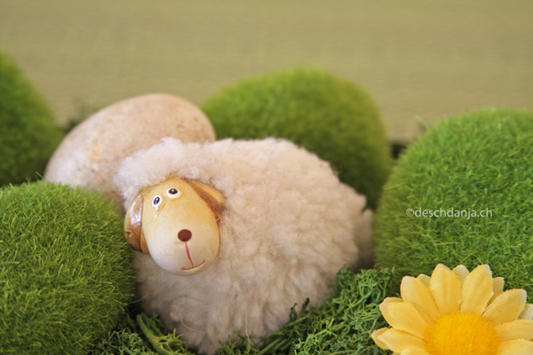 Fruehlingsdekoration