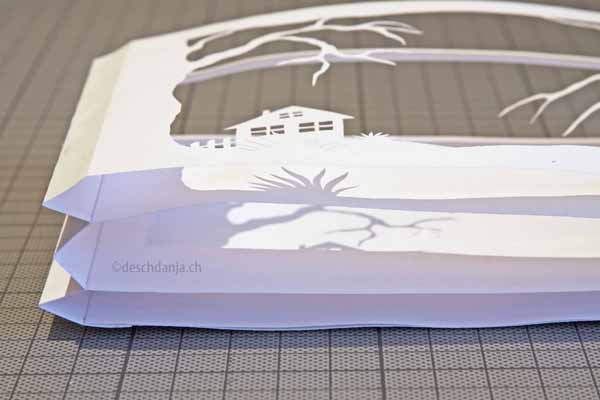 Paper Cut 3D