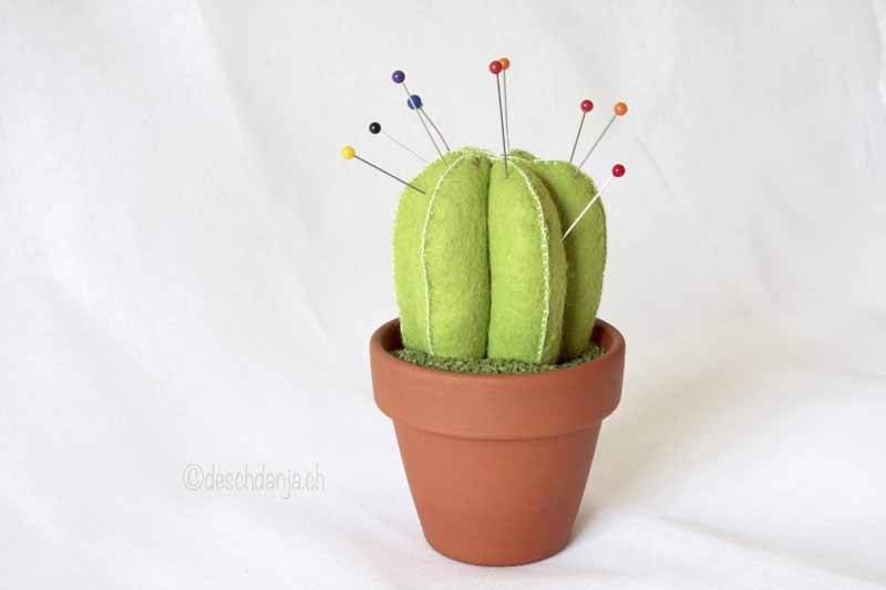 Filzkaktus Nr2