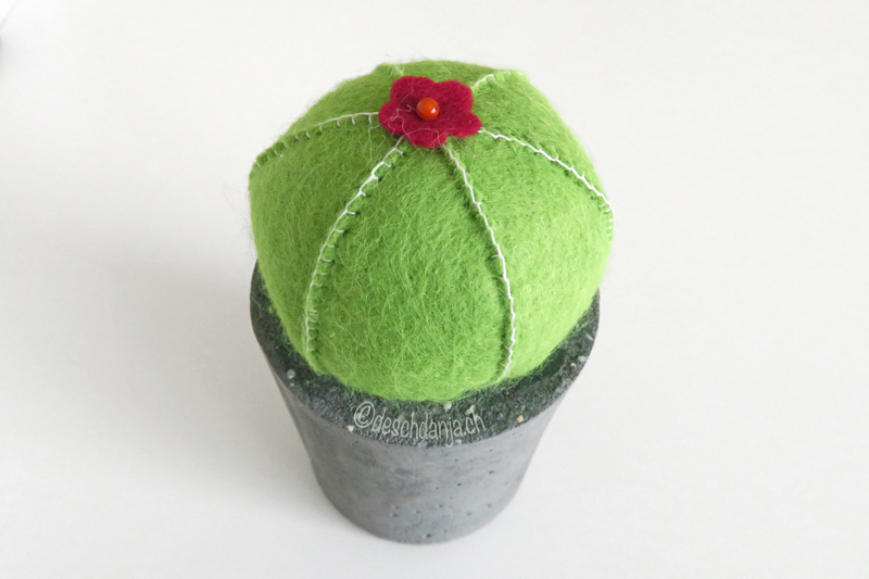 Filzkaktus Nr3