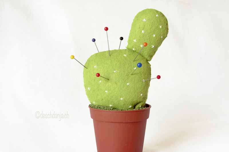 Filzkaktus