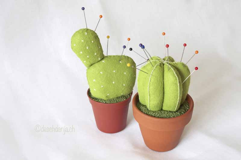 Filzkaktus