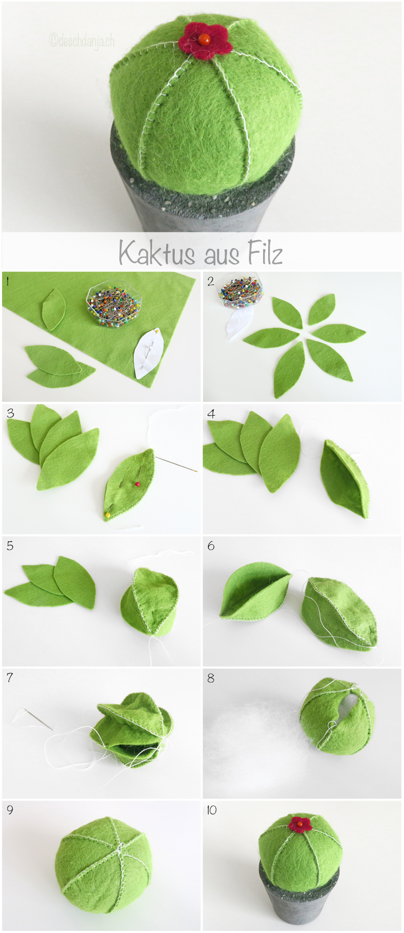 Filzkaktus