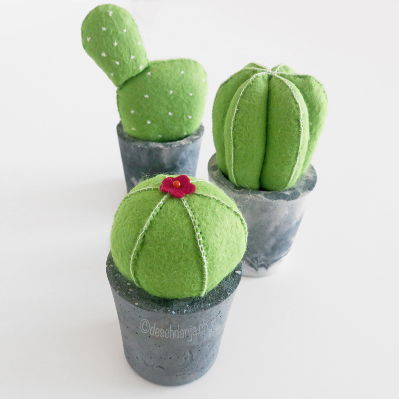 Filzkaktus