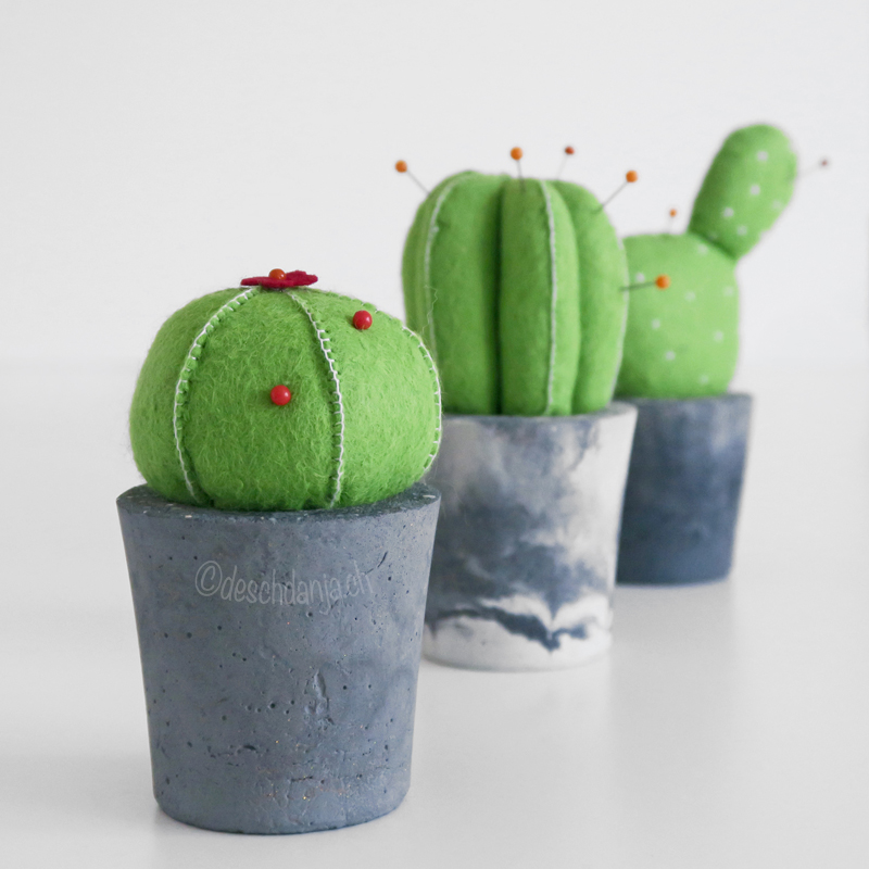 Filzkaktus