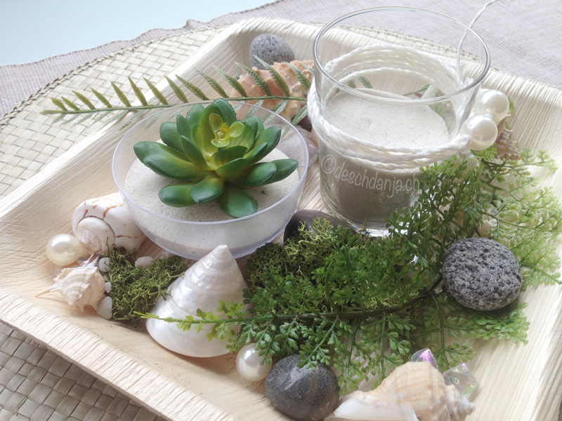 Deko mit Sukkulenten und Muscheln