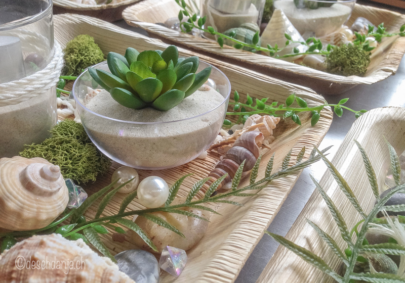 Deko mit Sukkulenten und Muscheln