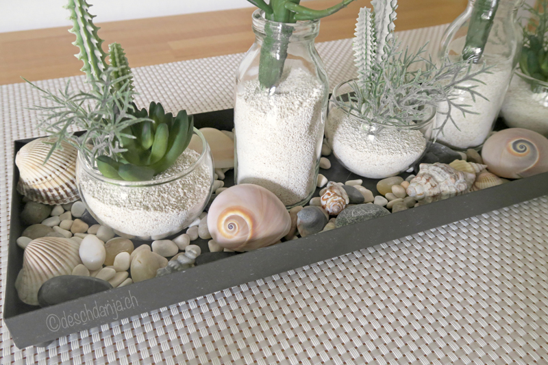Deco with succulents and shells