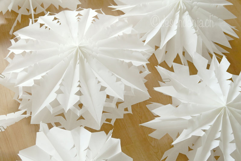 Papiertuetensterne